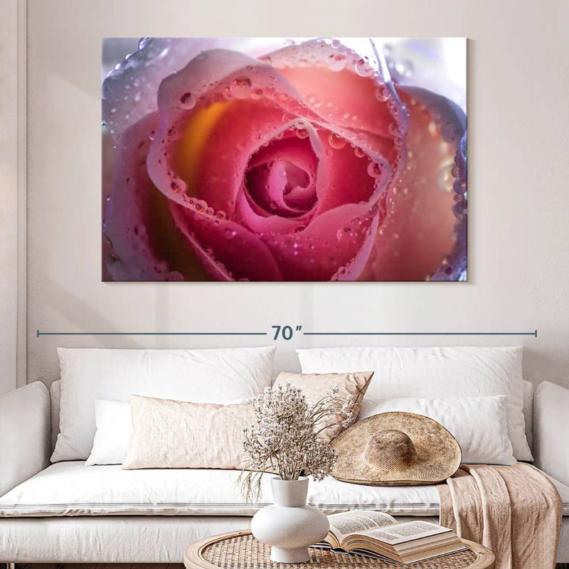 Rose brumeux Harnek, H 34 po x l 51 po