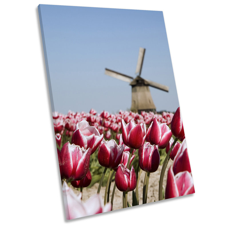Windmill Flowers Depth Focus Picture - Wrapped Canvas Print, 91.4cm H x 61cm W x 4cm D