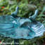Bain d'oiseaux solaire Talavera