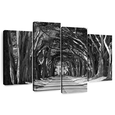 Driveway Tree Canopy BW