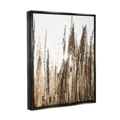 «Light Ray bien que le champ de blé» par Susan Ball - photographie sur toile