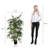 150cm Bamboo Tree in Pot