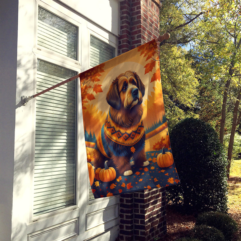 Drapeau de maison en polyester à double face H 40 po x l 28 po