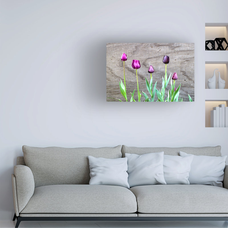 Art sur toile, tulipe bolognaise, Kent, H 12 po x l 19 po