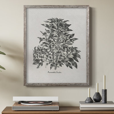 Reproduction florale vintage encadrée «Ccxxxx» - bois massif