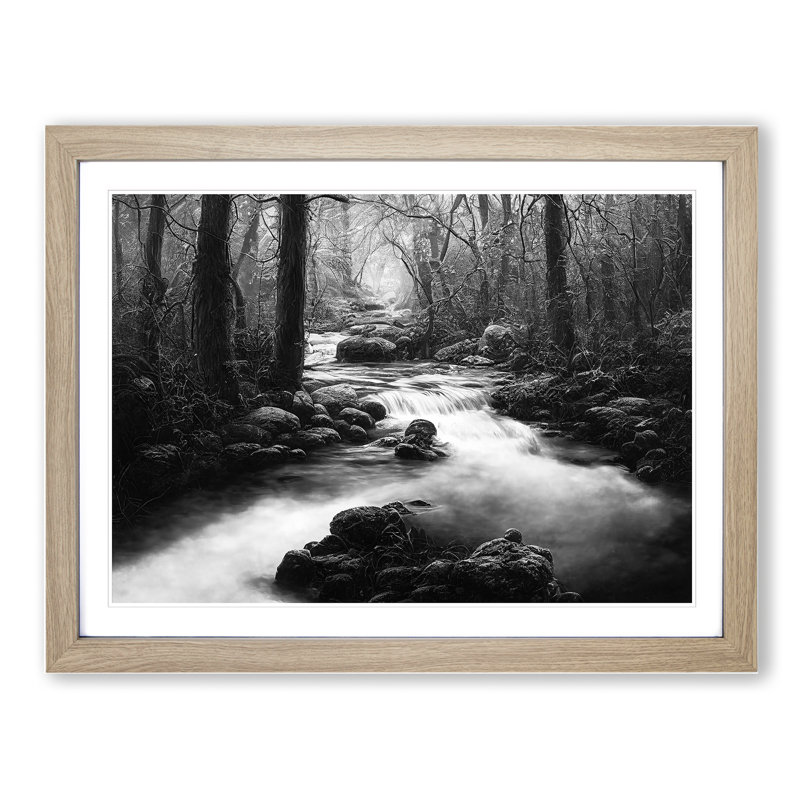 Forest Stream - Framed Print, 46cm H x 64cm W, Oak Framed