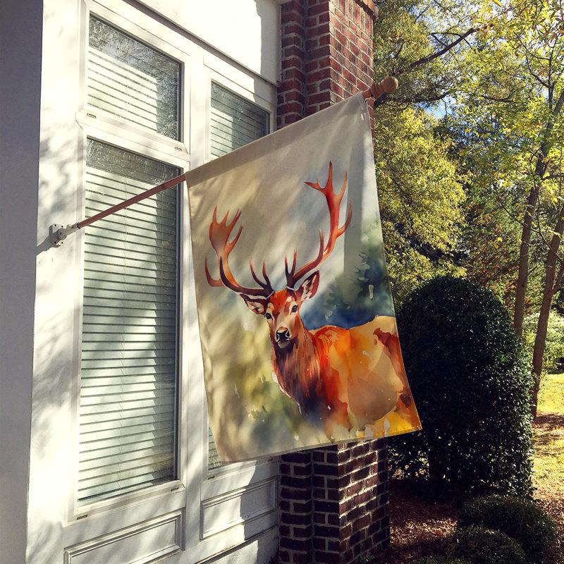 Drapeau de maison cerf cerf