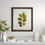 A Little Piece Of Nature VI Print