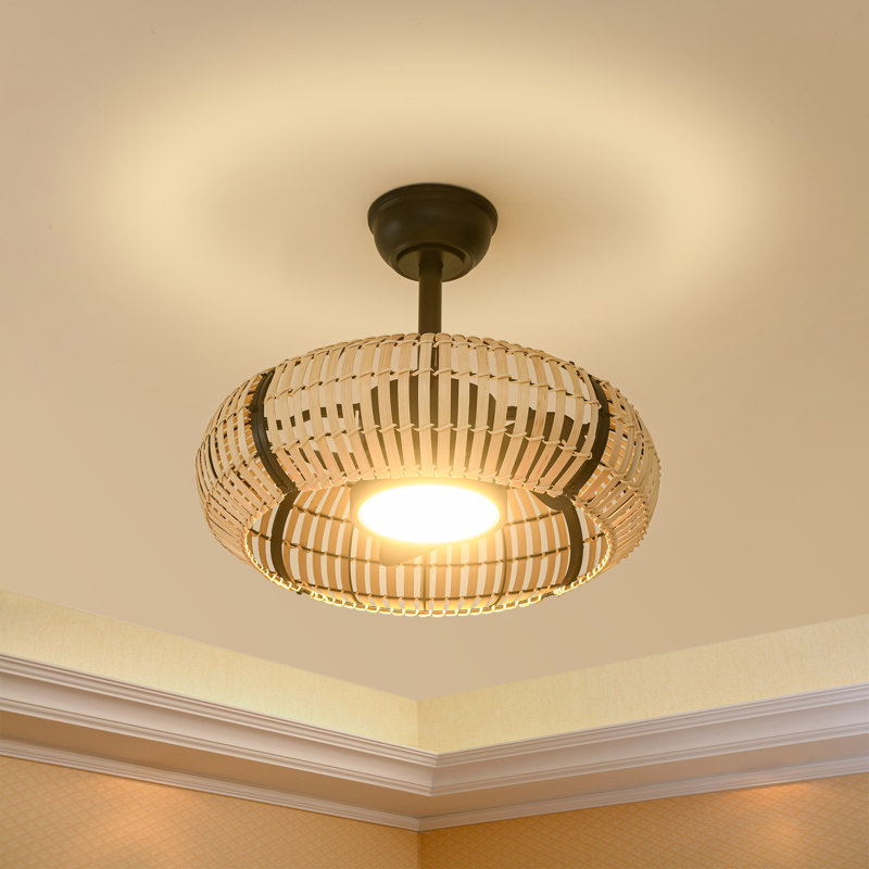 20" Caged Ceiling Fan with Light Farmhouse Natural Bamboo Strips, Horizontal weave