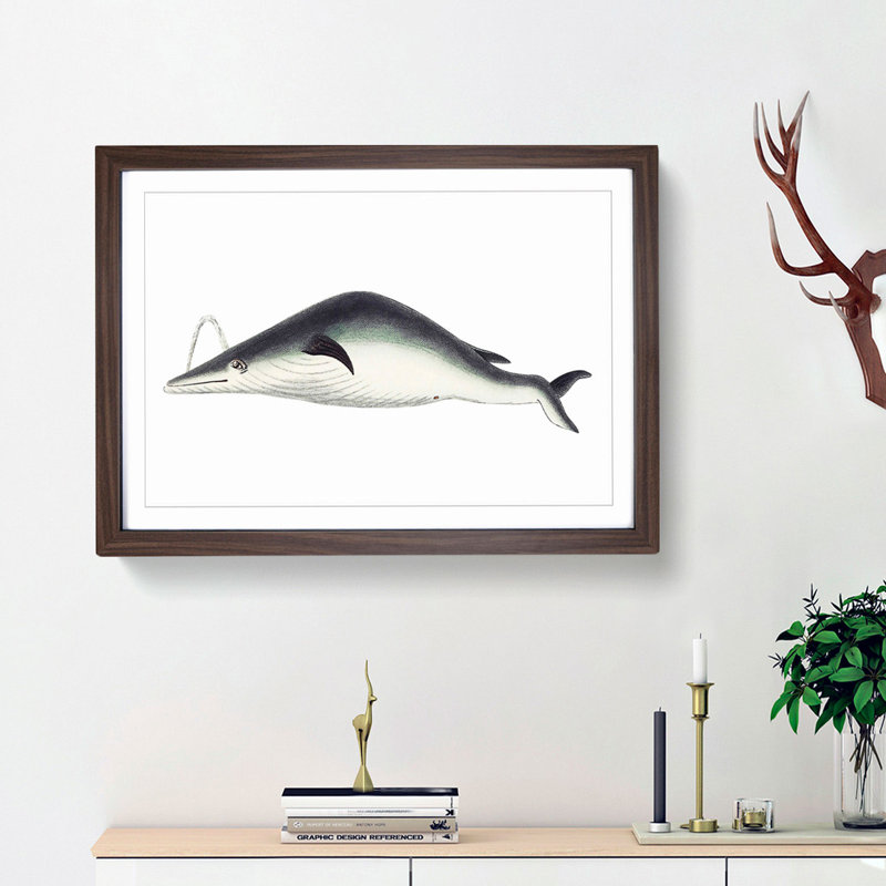 Whale by George Shaw - Picture Frame Painting Print, Walnut Framed, 27cm H x 36cm W x 2cm D