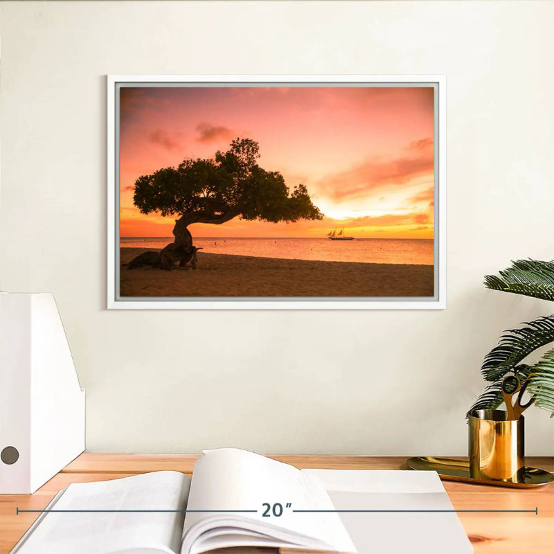 Arbre Divi Divi Aruba, Cadre flottant blanc, 13 po x 9 po