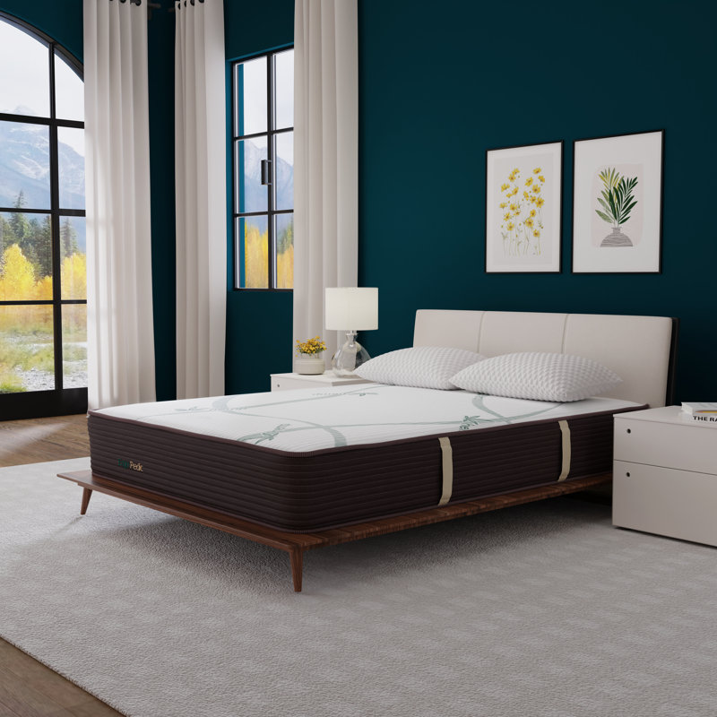 Matelas moyen infusé 10 po Zencloud Hybrid, Très grand
