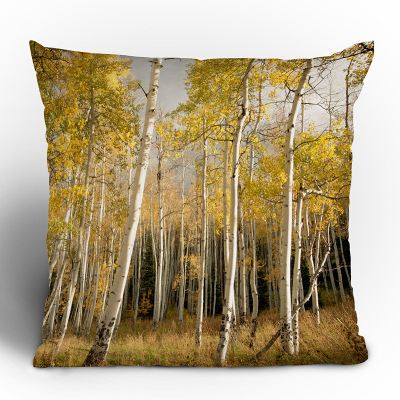 Coussin Aspen, 20 po x 20 po