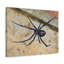 «Black Widow H chasse», art mural animal-783471913