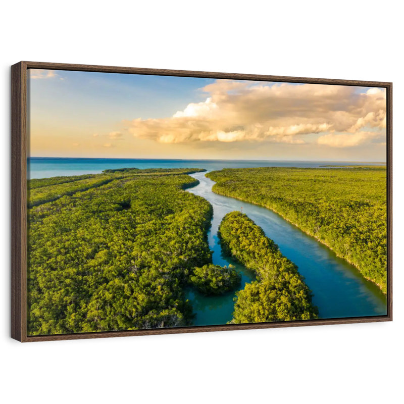Everglades National Park, Floating Frame Walnut, 31" X 21"