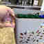 Customer photo 3 of 4