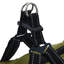 Pet Carrier-184380502-184380503