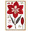 Amaryllis, art floral rétro sur toile par An Remy
