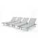 Afreen Outdoor Metal Chaise Lounge Set