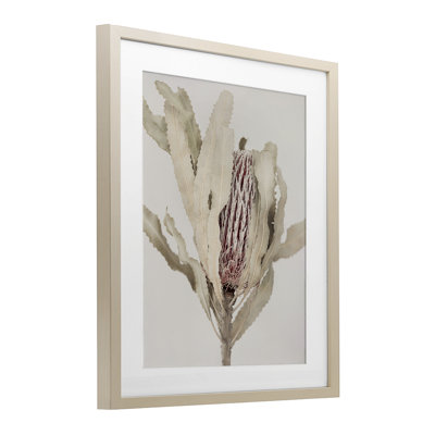 «Hidden Banksia Botanical Fronds», reproduction sous verre encadrée, design par Sissi et Seb