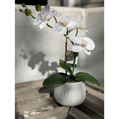 13 " Faux Orchid in Ceramic Planter