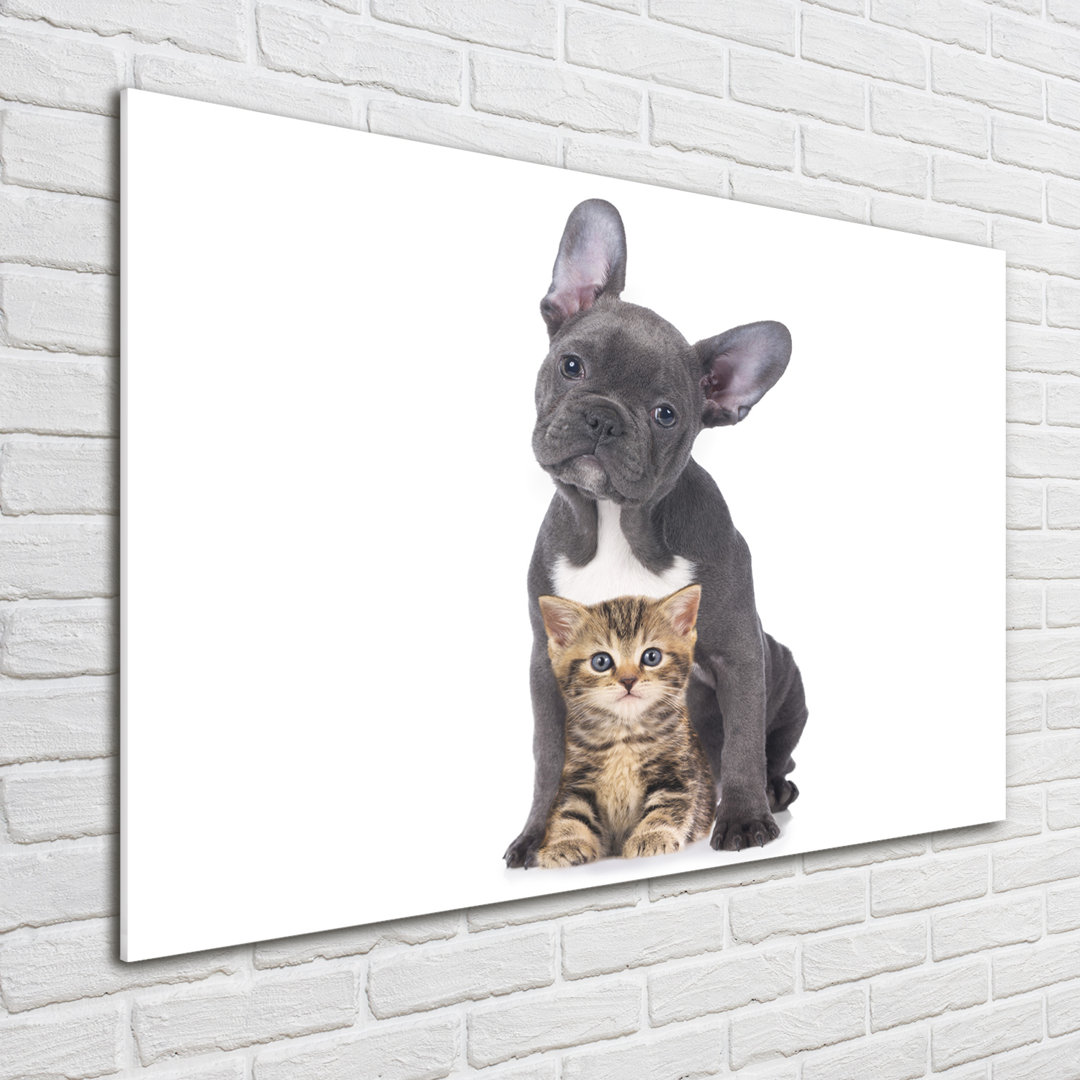 Glasbild Hund und Katze