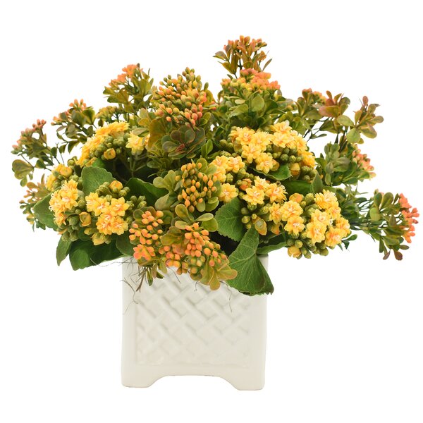 Creative Displays, Inc. Kalanchoe Floral Arrangement | Perigold