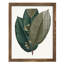 Fall Foliage I, reproduction d'art encadrée-937330364-937330340