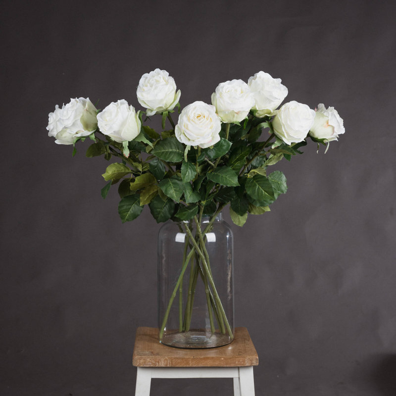 Anastasija Arrangement
