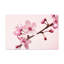 Wall Art on Canvas-1380538463