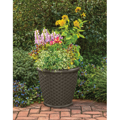 Jardinière en résine avec motif en osier (ensemble de 2) l 18 po x P 18 po Suncast, fabriquée aux États-Unis