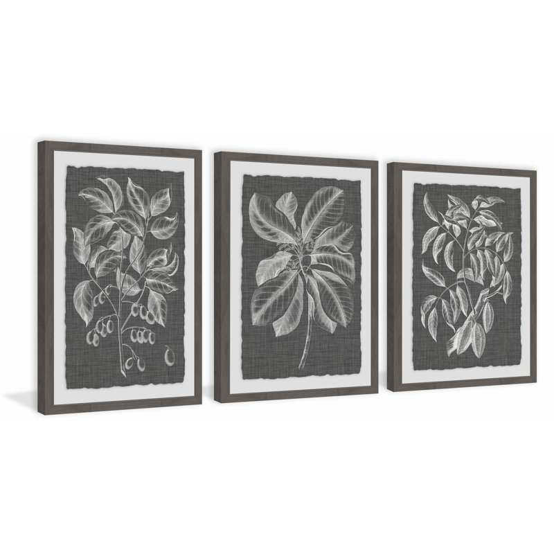 « feuillage vi », ensemble de 3 reproductions de dessins encadrées sur papier, H 24 po x l 16 po x L 1,5 po