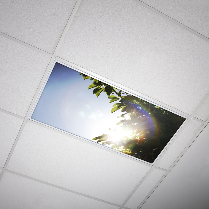 Tree Classroom Fluorescent Light Covers for Ceiling Lights - For 2x4 Light Fixture - by Octo Lights