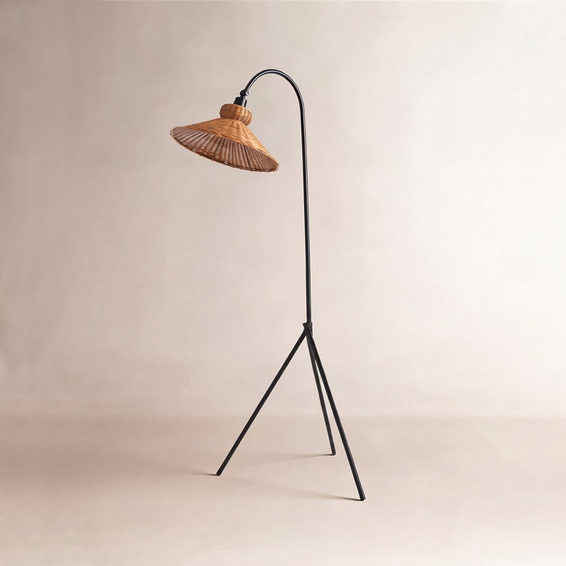 Plumeria 63.75'' Black Arched Floor Lamp