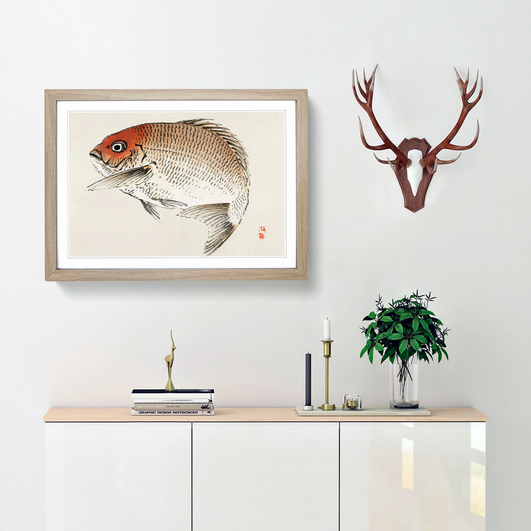 Red Seabream Fish by Kono Bairei - Picture Frame Painting Print