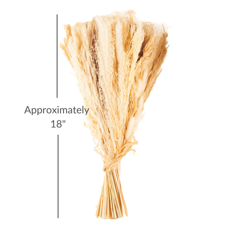 Idora Pampas Grass Arrangement, White