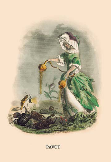 « pavot » par j.j. grandville, impression, H 66 po x l 44 po x P 1,5 po