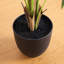 Palmier Areca artificiel-776892854