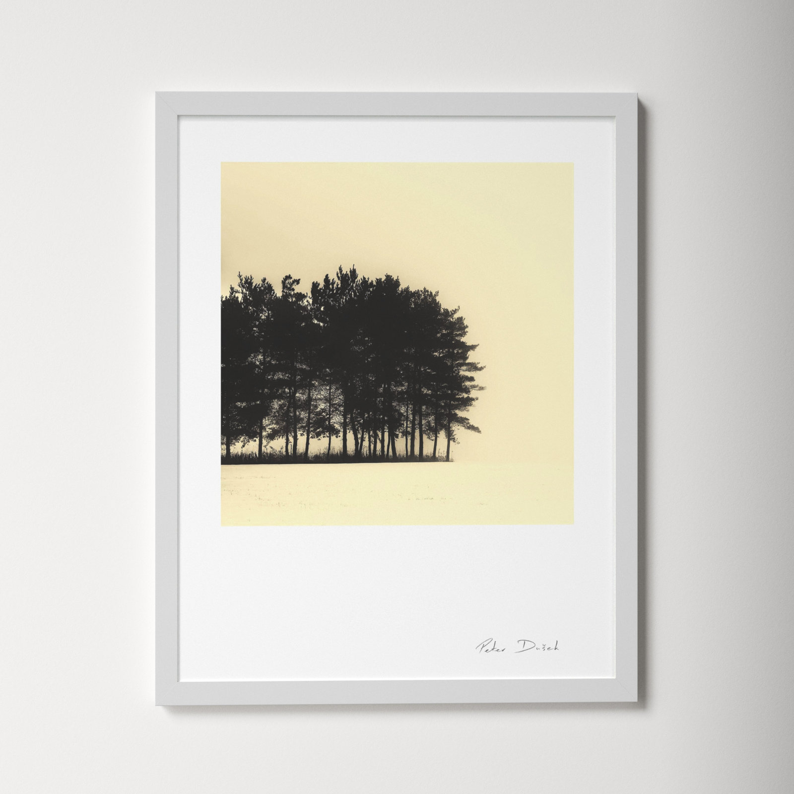 Garden Sign "Copse" Print by Peter Dušek, White, 38" H x 30" W x 1.25" D