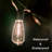 Culmore 22 - Bulb 240'' Plug-in String Light-273704606