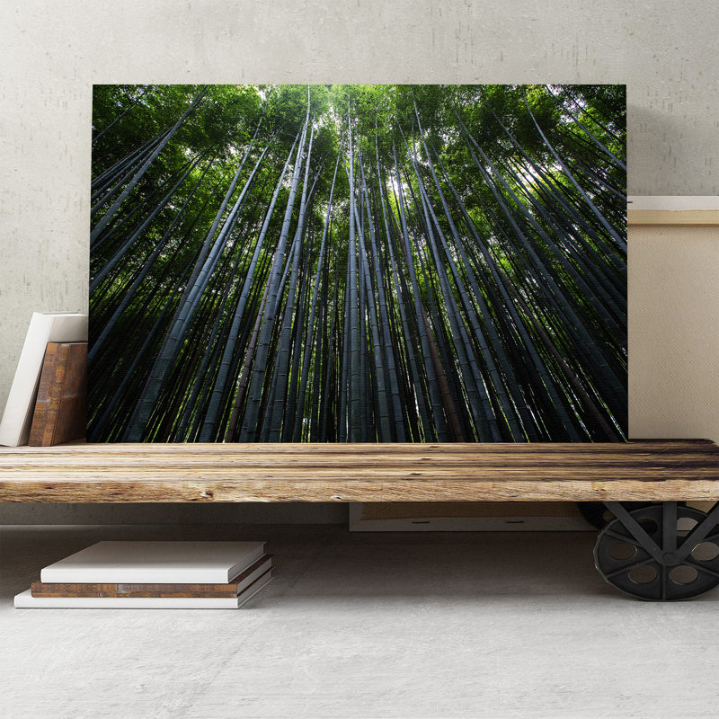 Landscape Woodland Trees Photographic - Wrapped Canvas, 50cm H x 76cm W