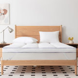 Arsuite 3” Goose Feather Epps With 100% Organic Cotton Cover