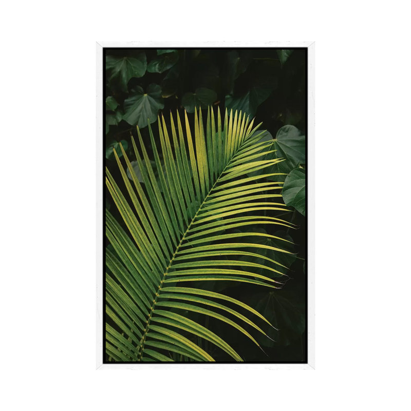 Tropical Hawaii II by Bethany Young - Print on Canvas, White Framed, 101.6cm H x 66.04cm W x 3.81cm D