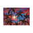 Wrapped Canvas