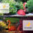 Satin Solar Powered Integrated LED Pathway Light