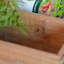 Pot à fleurs en bois Jadiana