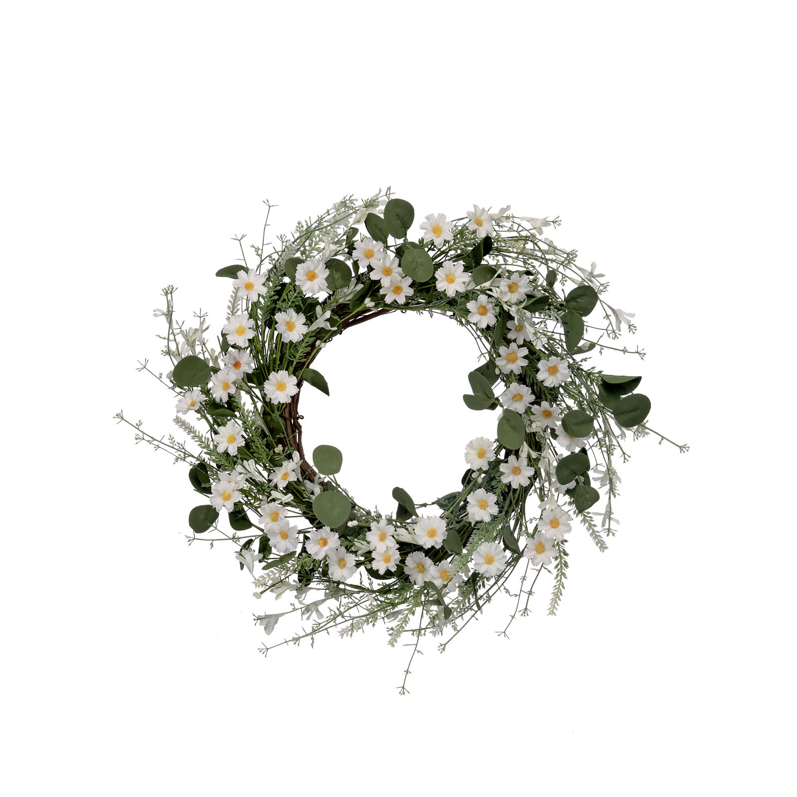 22" Wild Mountain Daisy Wreath, White
