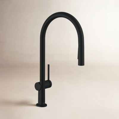hansgrohe Talis N HighArc Kitchen Faucet, O-Style 2-Spray Pull-Down, 1.75 GPM
