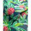 Lilly Pulitzer Island Exotic Wallpaper-2012975117