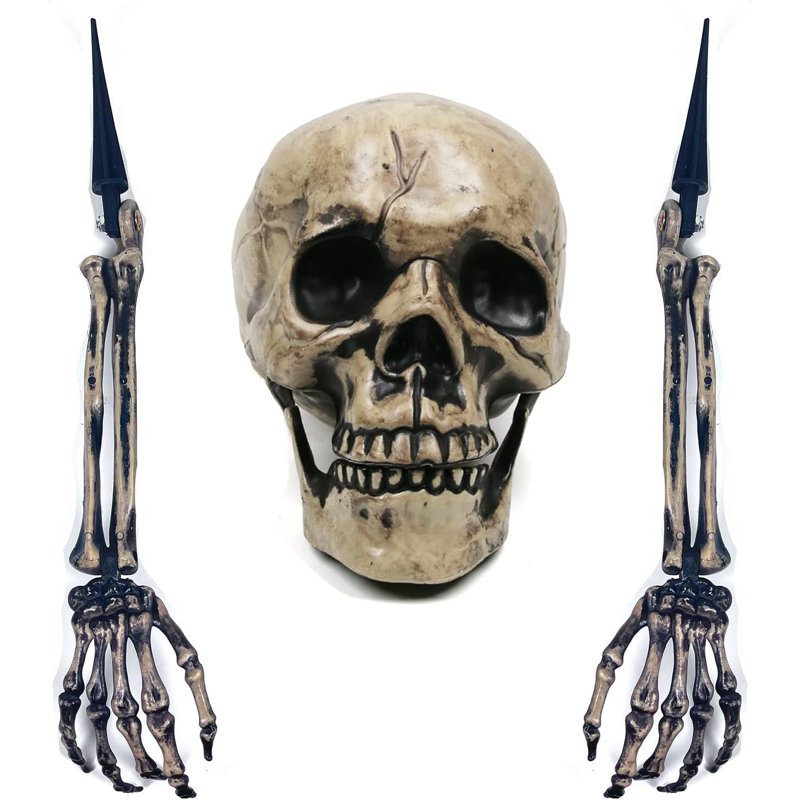Squelette d'Halloween